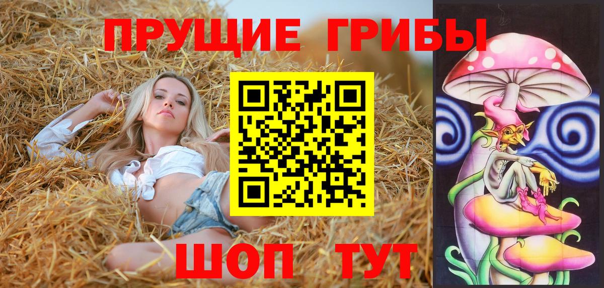 Псилоцибиновые грибы мицелий  Псилоцибиновые грибы прущие грибы  Вход с VPN  Ахтубинск 