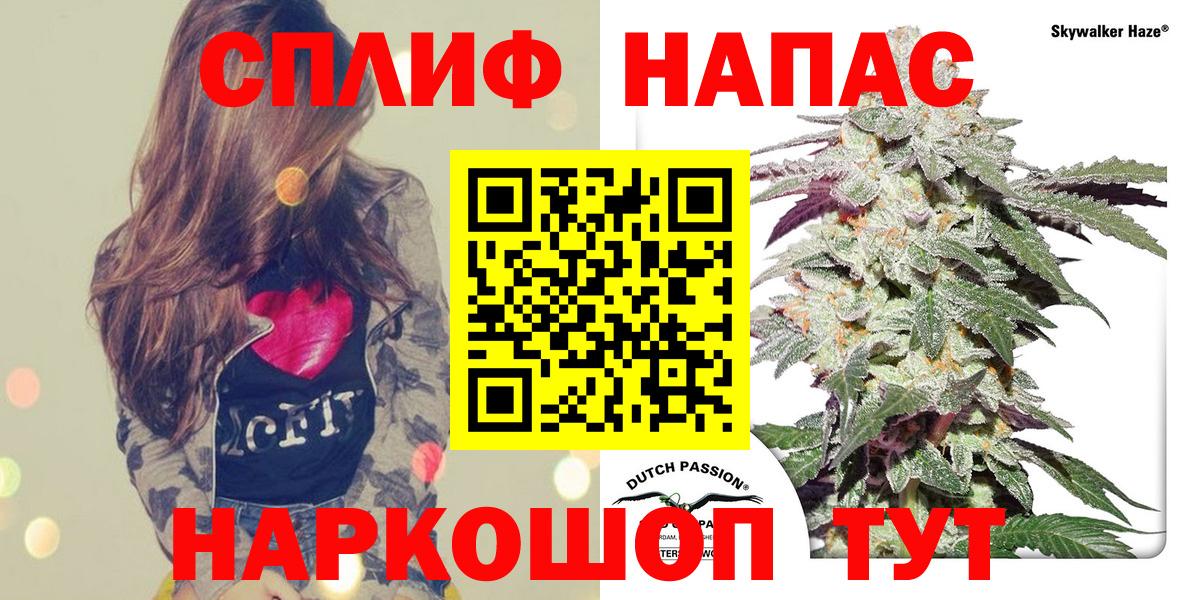 Каннабис AK-47 Ахтубинск